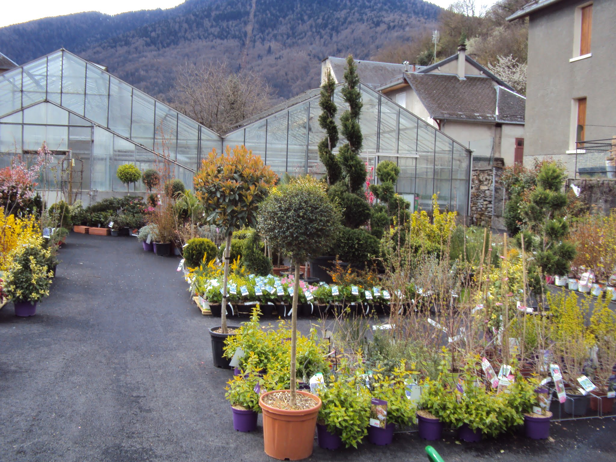 pepiniere 2 Jardi Pradel Jardinerie et fleuriste à BagnèresdeLuchon