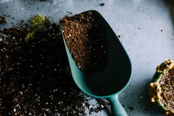 Terreaux et compagnie