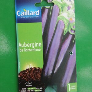 Graines aubergine de barbentane caillard 1