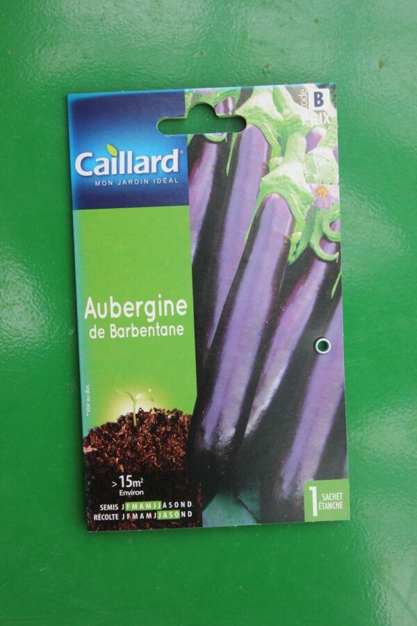 Graines aubergine de barbentane caillard 1