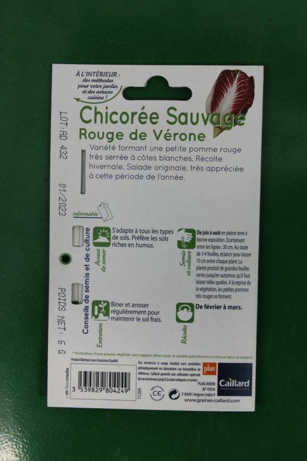 Graines chicoree sauvage rouge de verone caillard 2