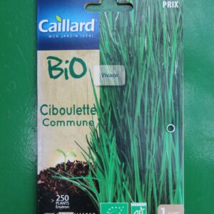 Graines ciboulette commune bio caillard 1