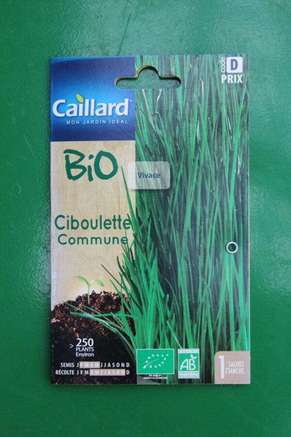 Graines ciboulette commune bio caillard 1