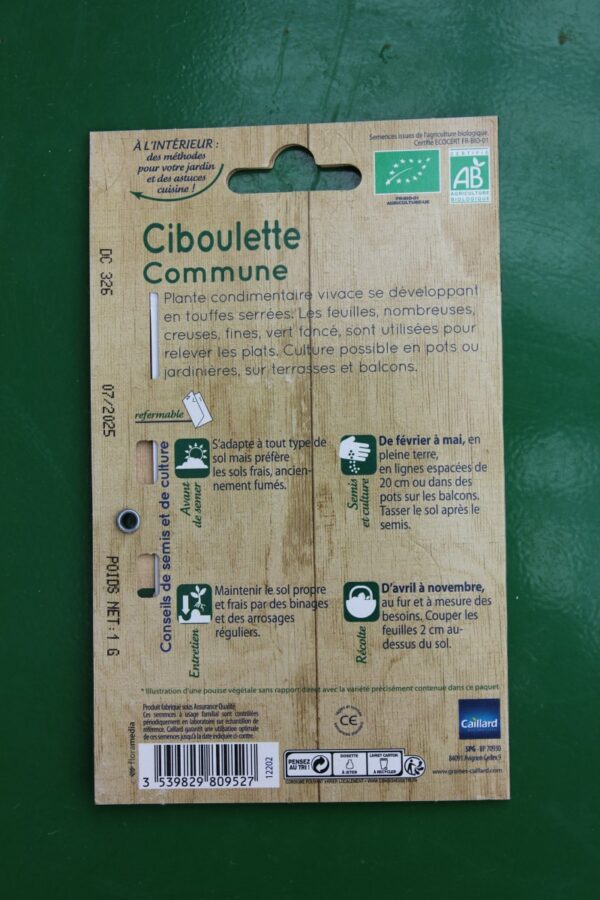 Graines ciboulette commune bio caillard 2