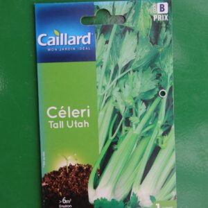 Graines céleri tall utah caillard 1