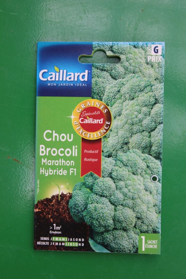 Graines excellence chou brocoli marathon hybride F1 caillard 1 rotated