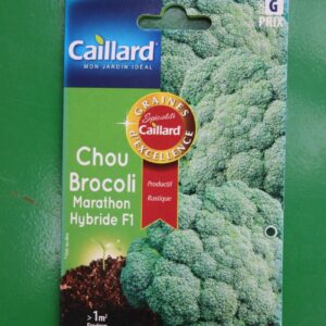 Graines excellence chou brocoli marathon hybride F1 caillard 1 rotated