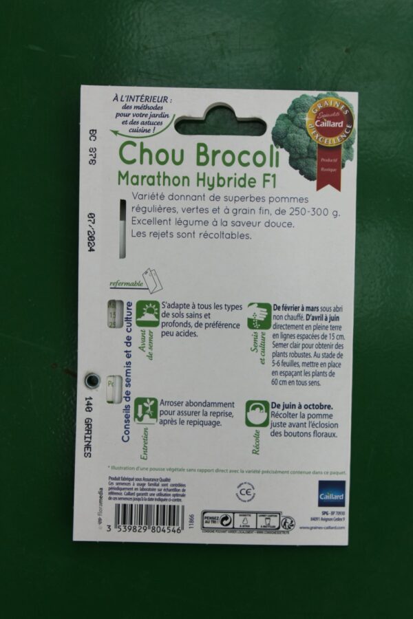 Graines excellence chou brocoli marathon hybride F1 caillard 2