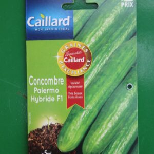 Graines excellence concombre palermo hybride F1 caillard 1