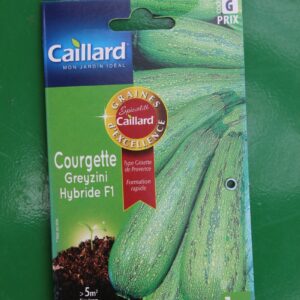 Graines excellence courgette greyzini hybride F1 caillard 1