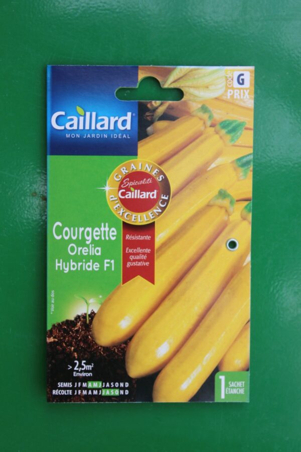 Graines excellence courgette orelia hybride F1 caillard 1