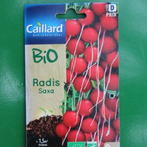 Graines radis saxa bio caillard 1