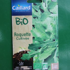 Graines roquette cultivée bio caillard 1