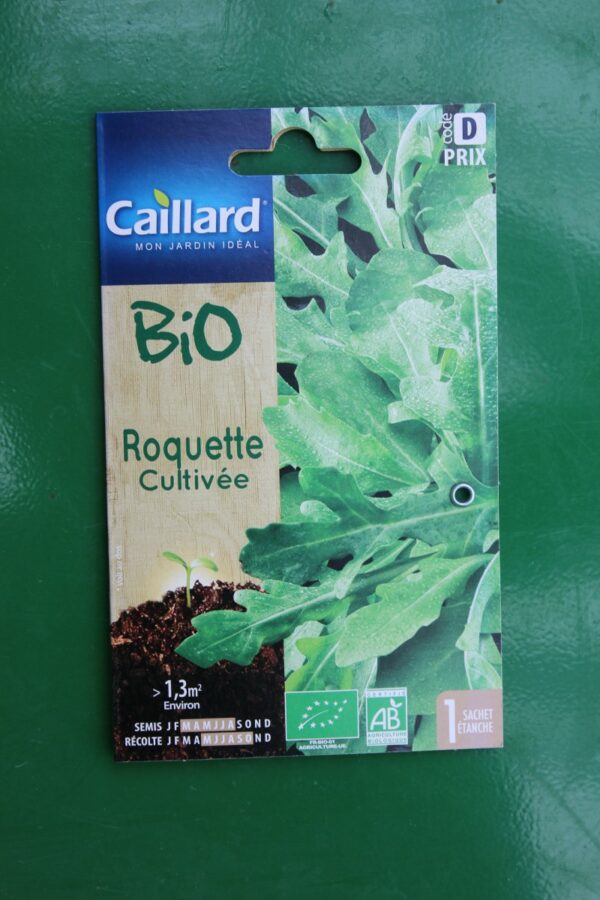 Graines roquette cultivée bio caillard 1