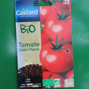 Graines tomate saint pierre bio caillard 1