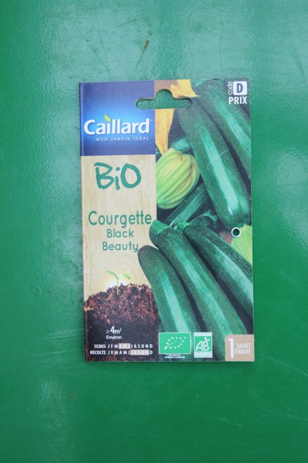 graines Courgette black beauty bio caillard 1