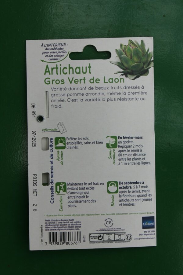 graines artichaut gros vert de laon caillard 2