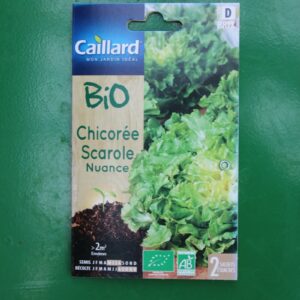 graines chicorée scarole nuance bio caillard 1