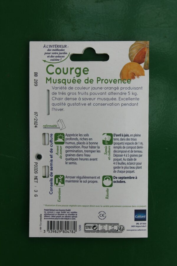 Graines courge musquée de provence caillard 2