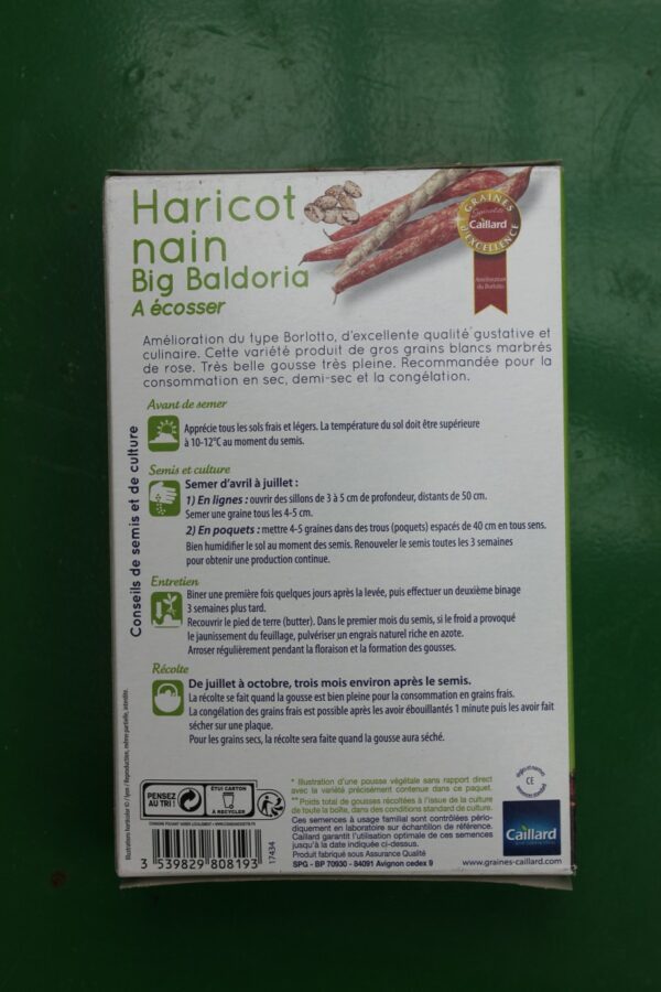 Graines excellence haricot nain big baldoria a ecosser caillard 2