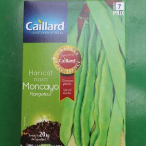 Graines excellence haricot nain moncayo mangetout caillard 1