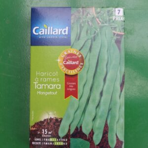 Graines excellence haricot à rames tamara caillard 1