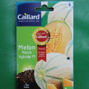 Graines excellence melon match hybride F1 caillard 1