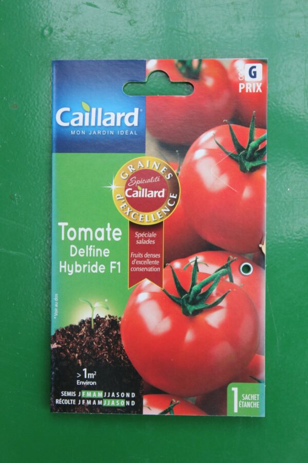 Graines excellence tomate delfine hybride F1 caillard 1