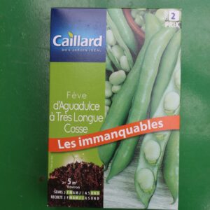 Graines fève daguadulce a tres longue cosse caillard 1
