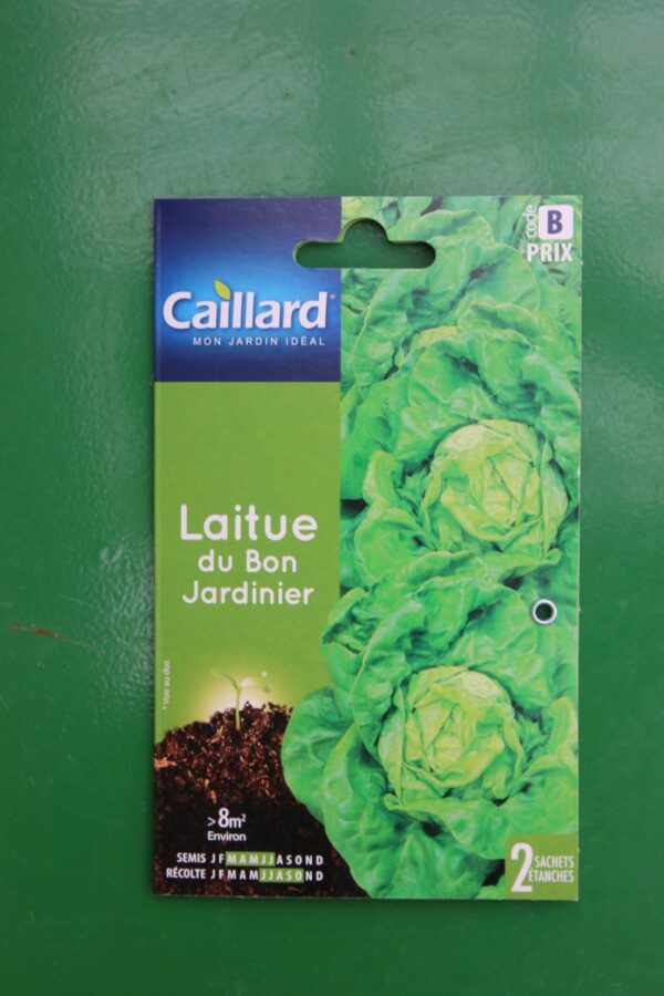 Graines laitue du bon jardinier caillard 1