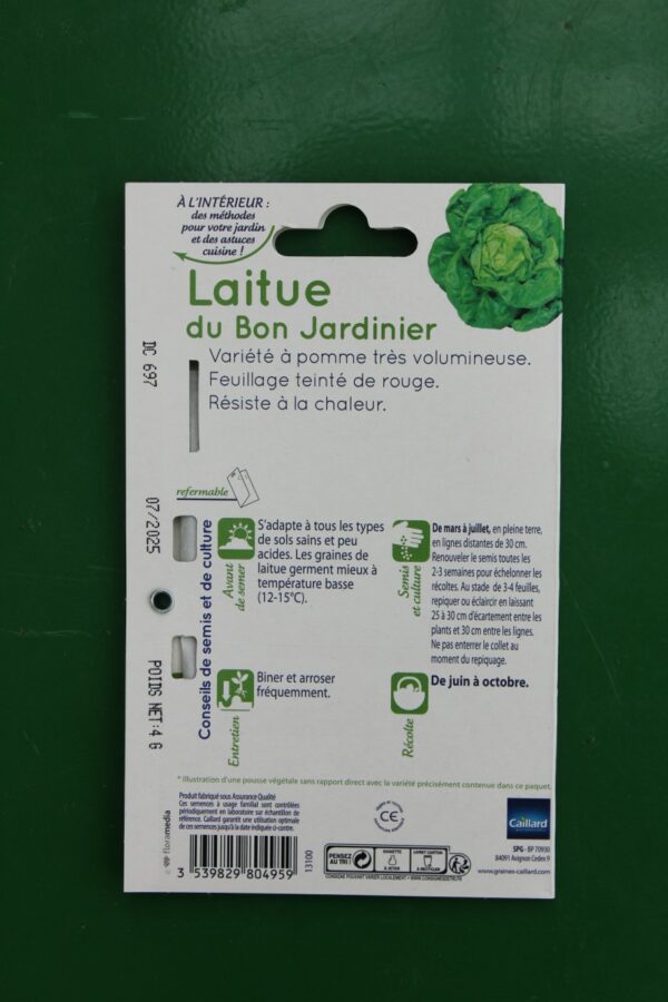 Graines laitue du bon jardinier caillard 2