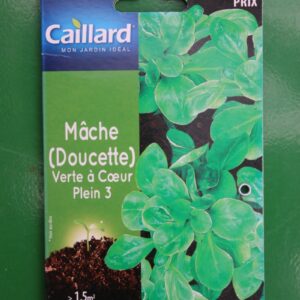 Graines mache doucette verte à coeur plein 3 caillard 1
