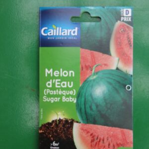 Graines melon deau pasteque sugar baby caillard 1