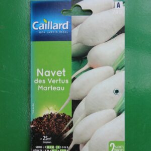 Graines navet des vertus marteau caillard 1