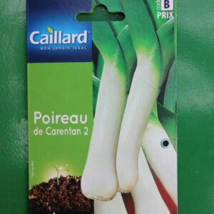 Graines poireau de carentan 2 caillard 1