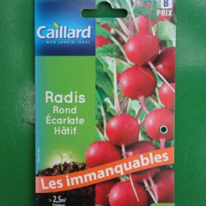 Graines radis rond ecarlate hatif caillard 1