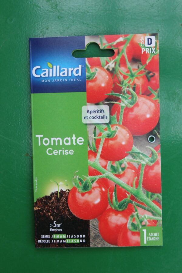 Graines tomate cerise caillard 1