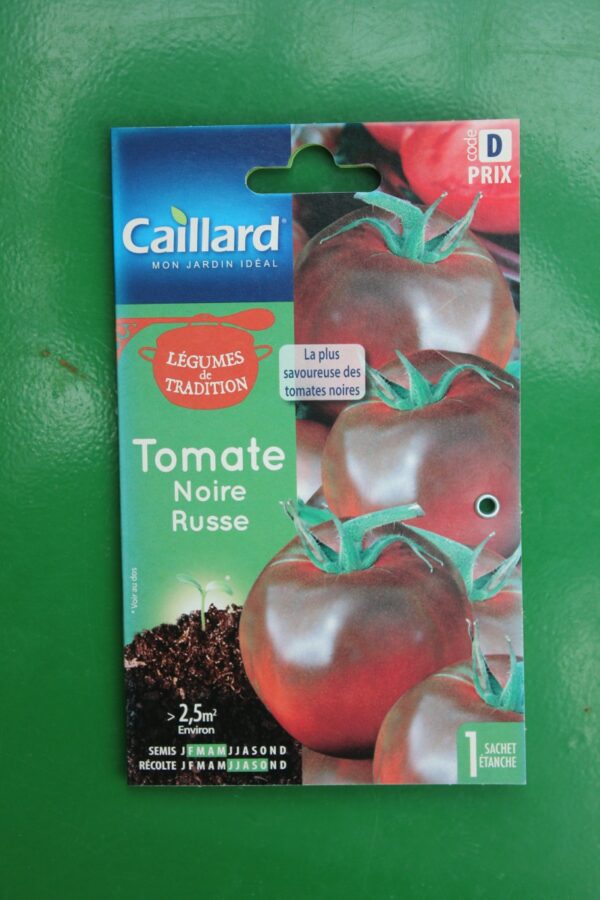 Graines tomate noire russe caillard 1