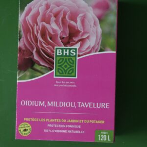 Oidium Mildiou Tavelue BHS 1