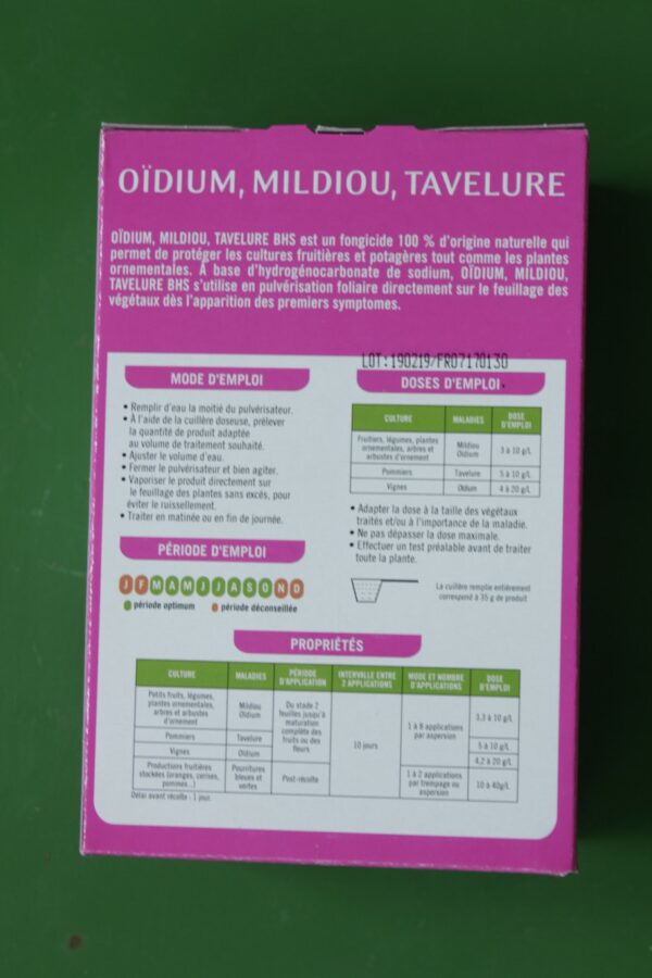 Oidium Mildiou Tavelue BHS 3