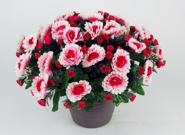 Coupe chrysantheme rouge rose
