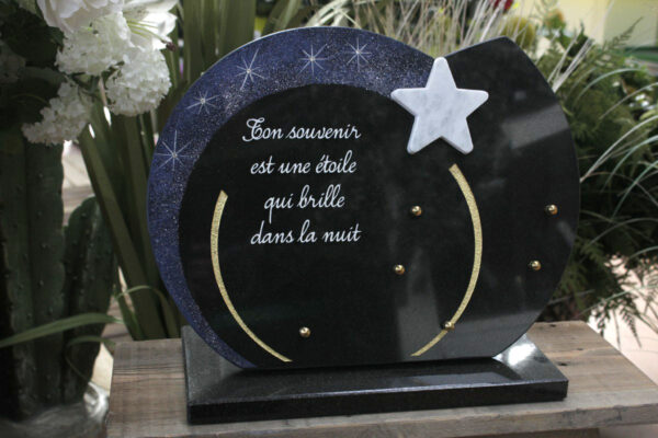 Plaque 30x40 sur socle Ciel etoile 3