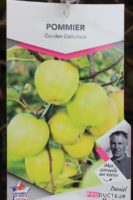 Pommier Golden Delicious 1