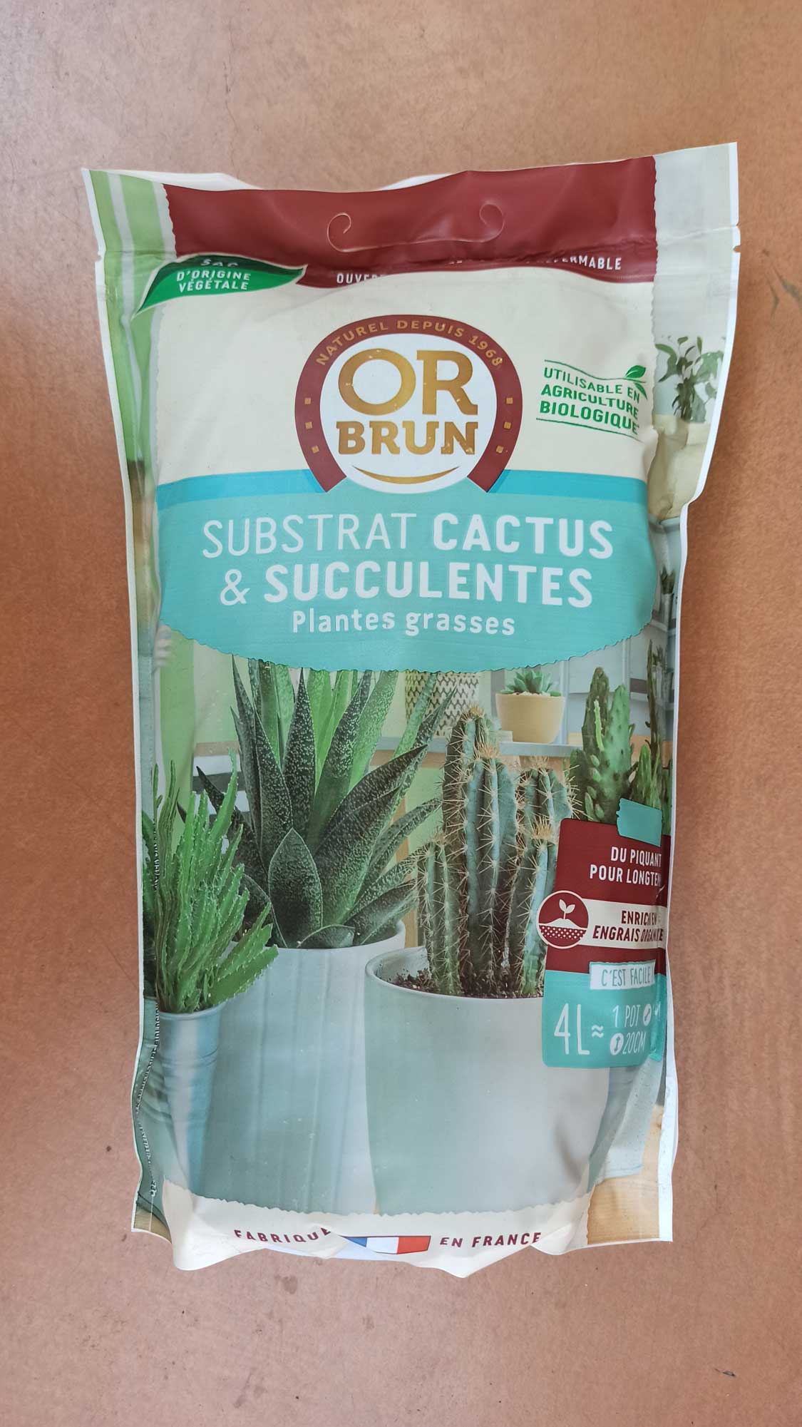 Cactus, Or brun Terreau Cactus Et Succulentes 4L 4L
