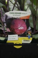 Chou Rouge Redsky F1 1