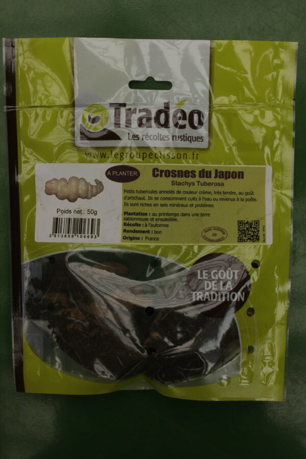 Crosnes du Japon 50g Jardi Pradel