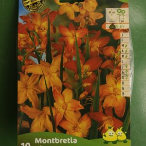 Montbretia en Melange Mix Jardi Pradel