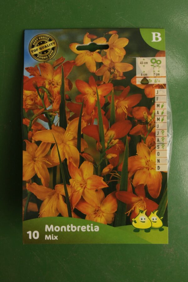 Montbretia en Melange Mix Jardi Pradel