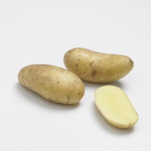 Pomme de terre Charlene