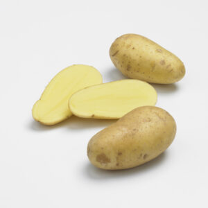 Pomme de terre Charlotte